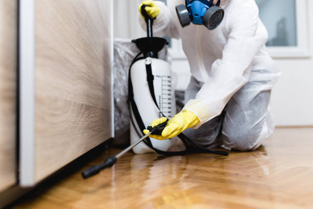Best Best Pest Control Companies  in Mountain View, CA