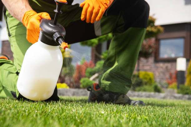  Mountain View, CA Pest Control Pros