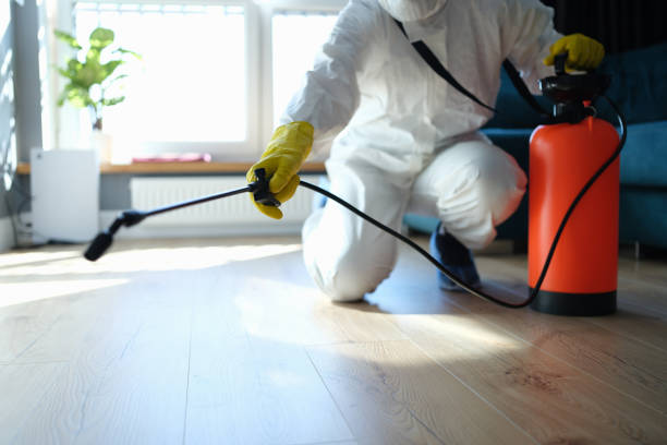 Best Pest Prevention Services  in Mountain View, CA